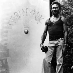 Absolutely Scratch: A Tribute To the Genius of Lee Perry (Volume 1)