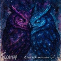 Soul Disinfection Vol. 10