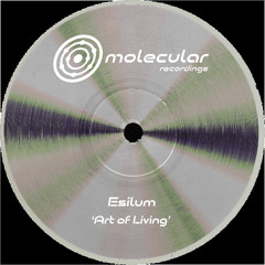 Premiere: Esilum - Balance [Molecular Recordings]