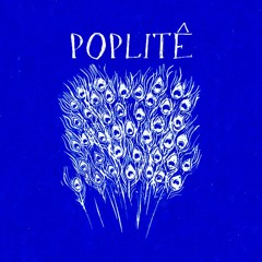 Ponta de Pedra (Luis Paxão)