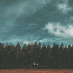 JSOL - LẶNG (Mùa Thu Đi Qua) - TFOR LOFI REMIX