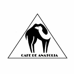 Live Mix Exclusive For Cafe De Anatolia