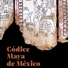 [View] EPUB 📧 Códice Maya de México: Understanding the Oldest Surviving Book of the
