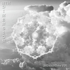 FACTORY RESET & LIFE FORM - 11TH DIMENSION [BIGMAN VIP]