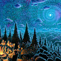 ⫷Wild Camp Out 2025⫸⚬⫷Serendipitea⫸