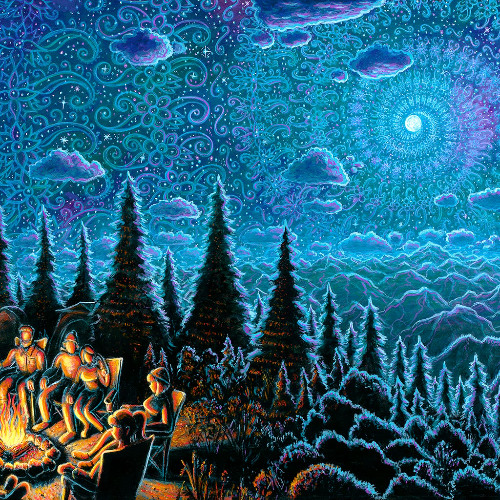 ⫷Wild Camp Out 2025⫸⚬⫷Serendipitea⫸