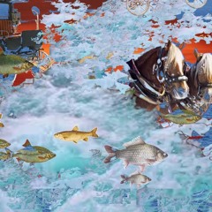 5 Wir müssen diesen Platz verlassen (eXner / Augenmerk)