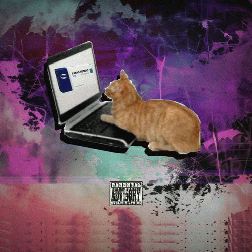 pink luu - something's not okay (ft. kets4eki & cxpy)