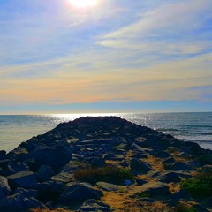 Compo Raggae-dancehall / Handpan.