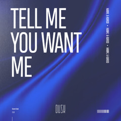 HAWK. & Karod - Tell Me You Want Me
