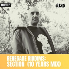 RENEGADE RIDDIMS: Section (10 Years Mix)