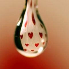 Liquid Love