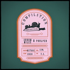 PREMIERE > Aurum Miles, Poulper - Witch Hunters [QUIXOTICAL RECORDS]