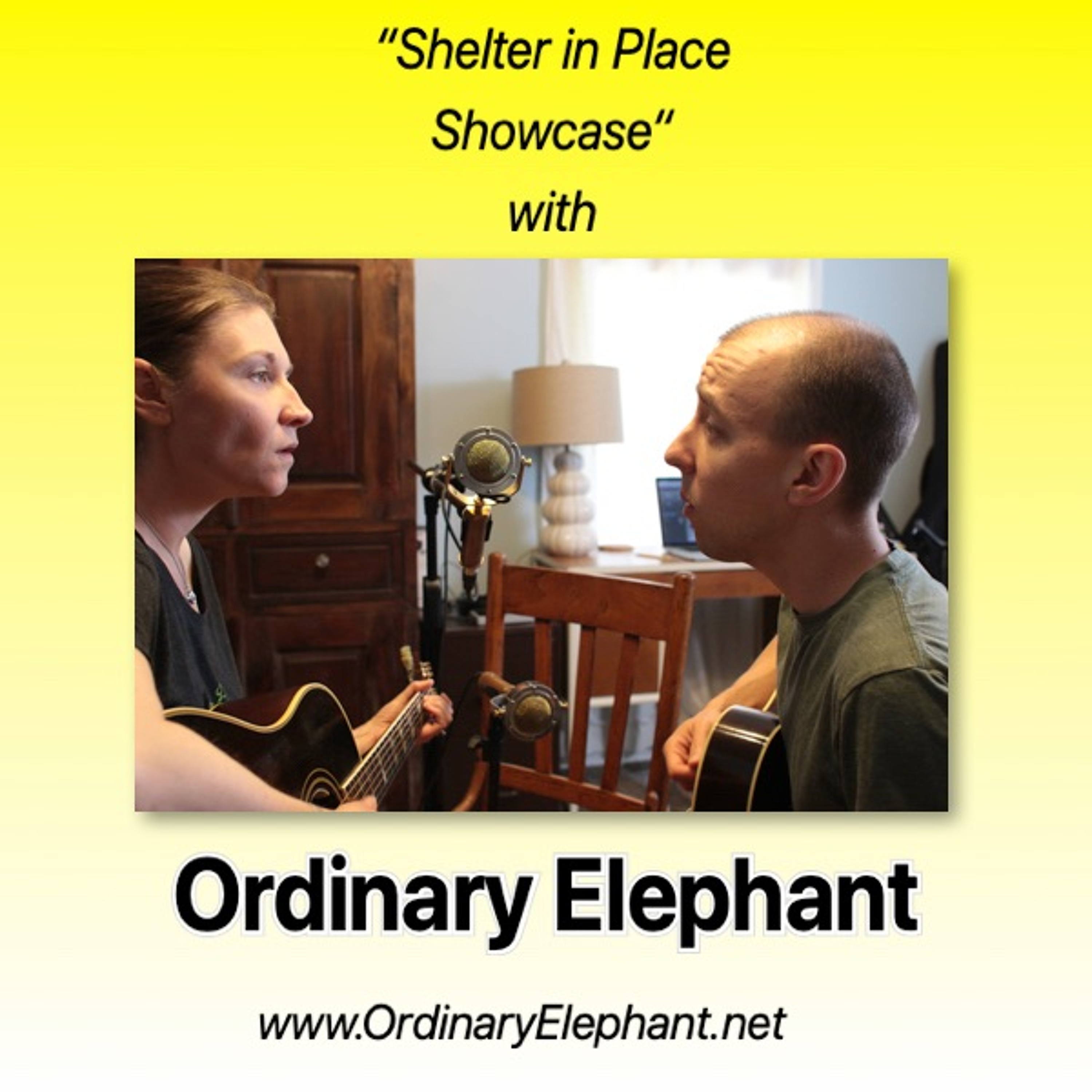 ORDINARY ELEPHANT on Folk Music Notebook's "Shelter in Place Showcase" episode artwork