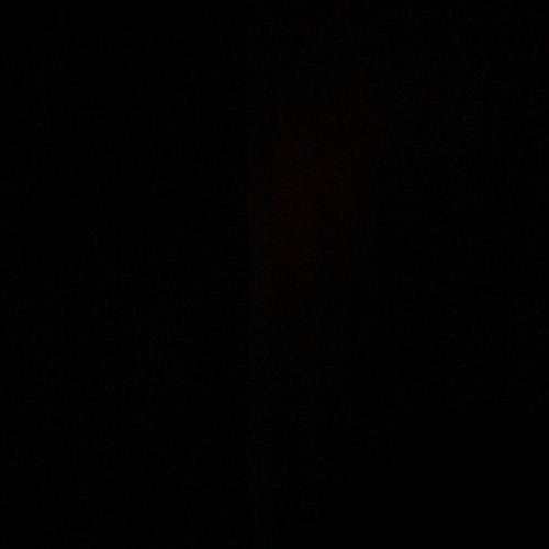 bottles (with. MOHiGNOSi & Rizzy Ca$h)