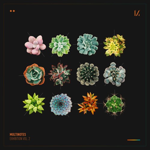 PREMIERE : Coeus - Avalonia(Original Mix)[MULTINOTES]