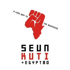 Seun Kuti & Egypt 80 - Black Woman