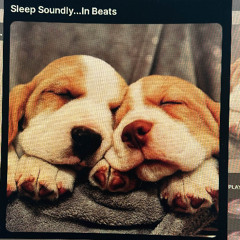Sleep Soundly...In Beats (Dedicated to Loki)