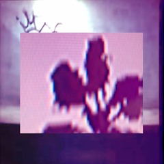 MAY MAY (single version)