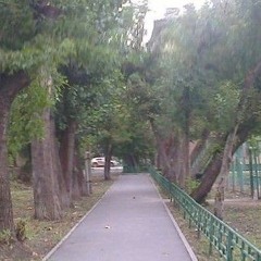 vilo 2022