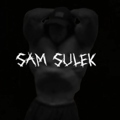 Sal Sulek "Just Get Big"