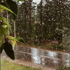 Morning rain