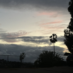 wacky [prod. Evan & cristi]