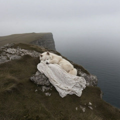 Chinatown in brazil Veyno (choppy mix )