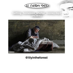 lil soda boi - getting_homeless_shelter_money.mp3 #remix + lily forest!