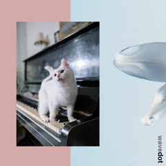 housecat