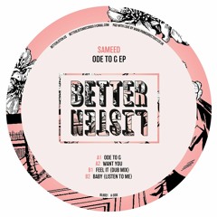 PREMIERE: Sameed - Want You [Better Listen Records]
