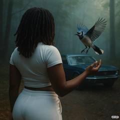 BlueJay(Prod.Thomas Black)