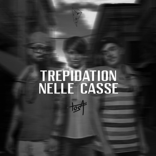 Trepidation Nelle Casse (Stan Christ & Power Francers) - TOSA Mashup