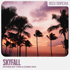 Skyfall (Extended Mix)