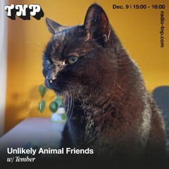 Unlikely Animal Friends w/ Tember @ Radio TNP 09.12.2022