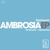 Artwork for PREMIERE: Starbeam - Ambrosia (Original Mix) [Lowbit]