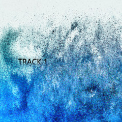 TRACK 1