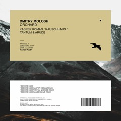 DMITRY MOLOSH Orchard (Tantum And Arude Remix)