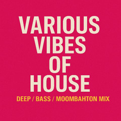 House Mix | Deep, Bass, Moombahton Vibes | 느낌있는 하우스 믹스셋