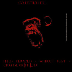 Piero Ceraolo - without rest - Original Mix [NK]_FD