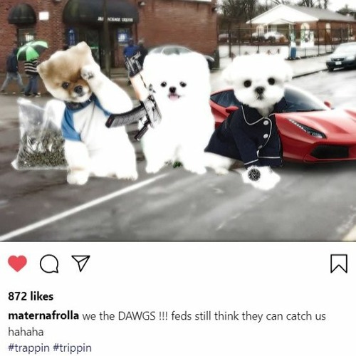 POPEO ZERO LIT || Phebocrazia x Sodaslatt x Sbstmgl