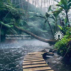 Nature Sounds (10 Hours)