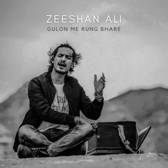 Gulon Me Rung Bhare - Zeeshan Ali