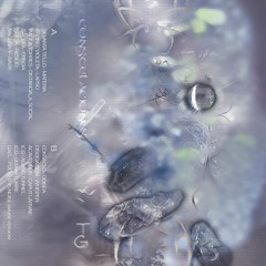 DISOCIACIÒN - WHISPER