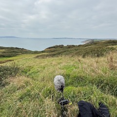 Weymouth Bay from the downs above Osmington Mills - 11th October 2025 (excerpt)
