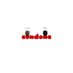 condone - $pida X datzjayden (prod. sil)