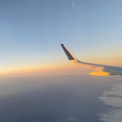 crates in the garden v2