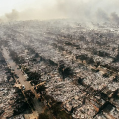 Ashes of LA
