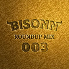 Roundup Mix 003 (Tech House / Bass House)