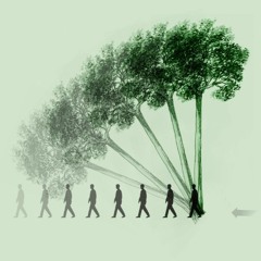 ¿Resuena un árbol al caer?